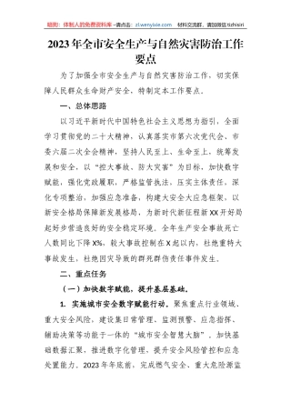 【安全生产】2023年全市安全生产与自然灾害防治工作要点