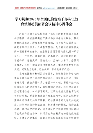 【JJ队伍教育整顿】学习贯彻2023年全国纪检监察干部队伍教育整顿动员部署会议精神心得体会