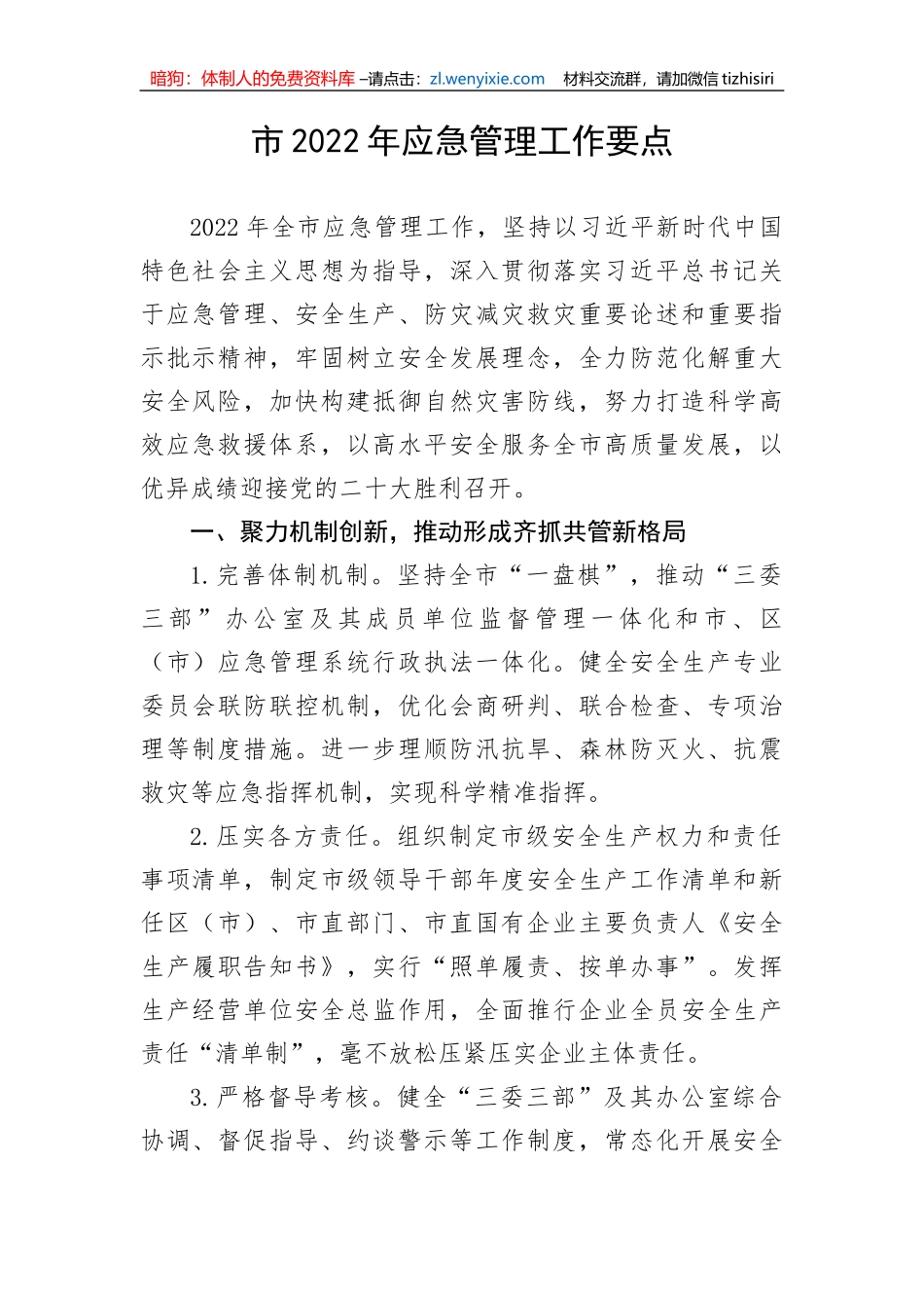 【安全生产】市202X年应急管理工作要点_第1页