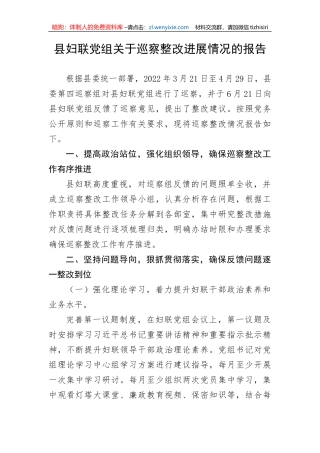 【整改报告】县妇联党组关于巡察整改进展情况的报告