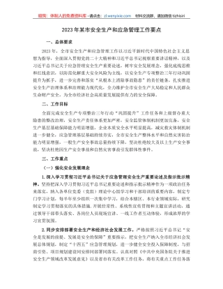 2023年某市安全生产和应急管理工作要点