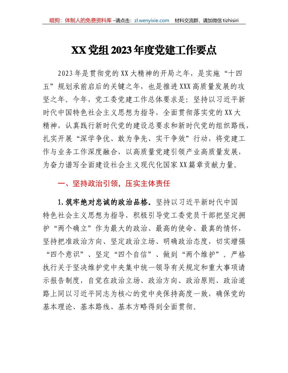 XX党组2023年度党建工作要点_第1页