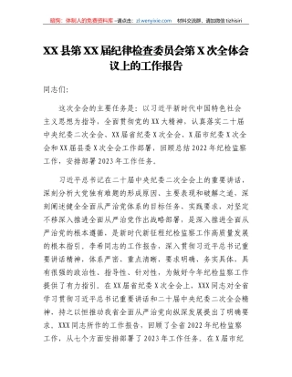 XX县第XX届纪律检查委员会第X次全体会议上的工作报告