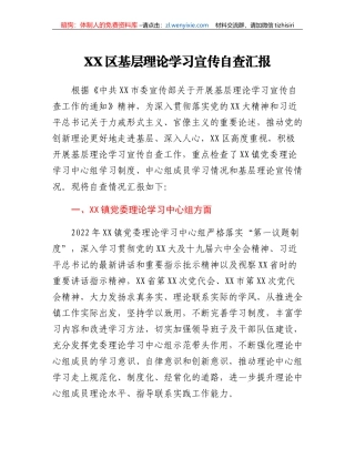 XX区基层理论学习宣传自查汇报