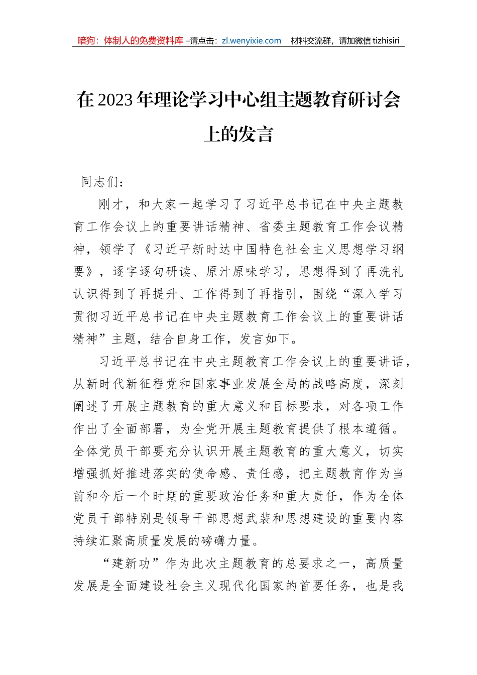 在2023年理论学习中心组主题教育研讨会上的发言_第1页