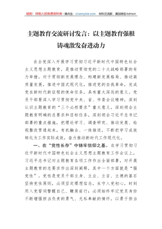 主题教育交流研讨发言：以主题教育强根铸魂激发奋进动力