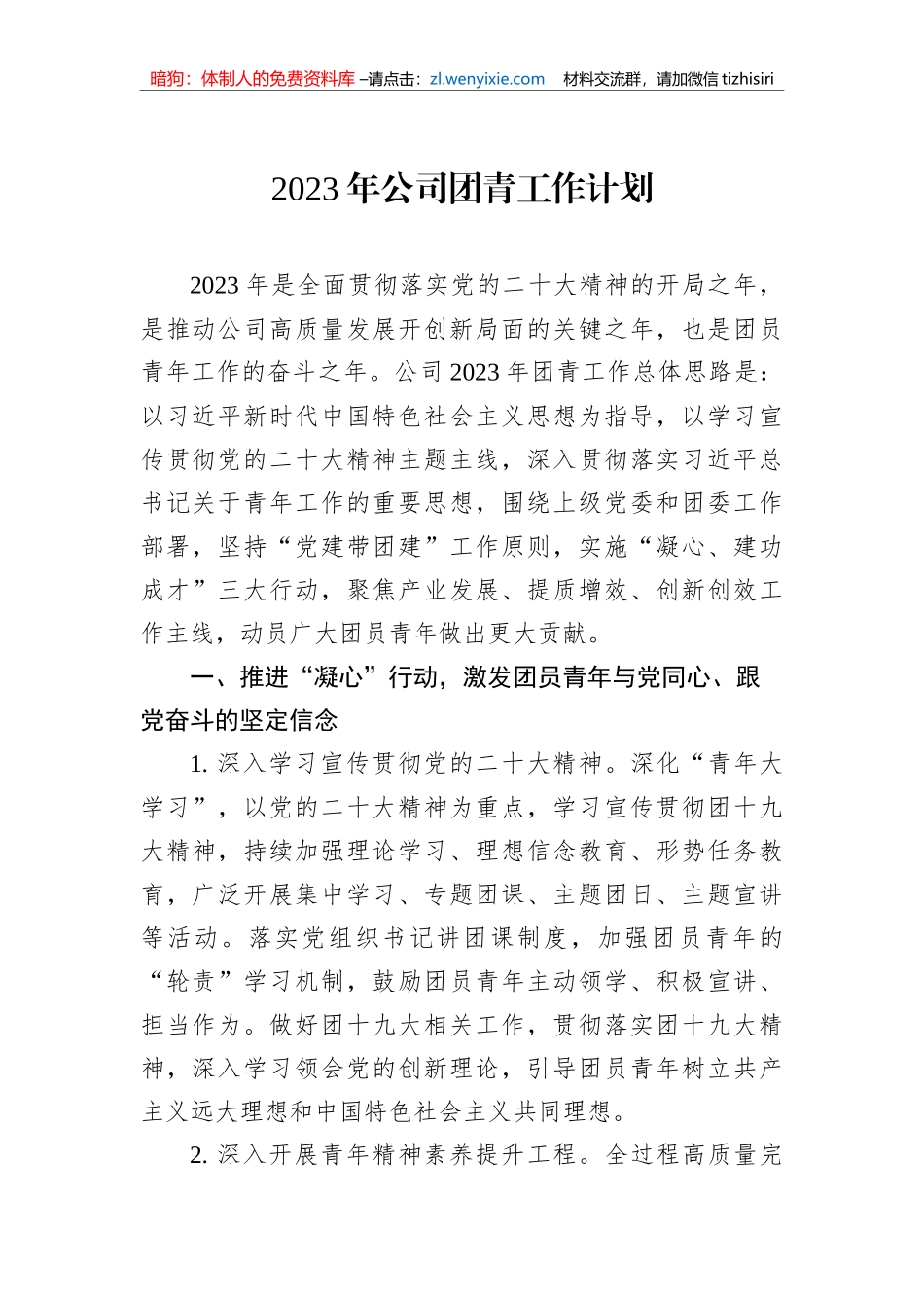 2023年公司团青工作计划_第1页