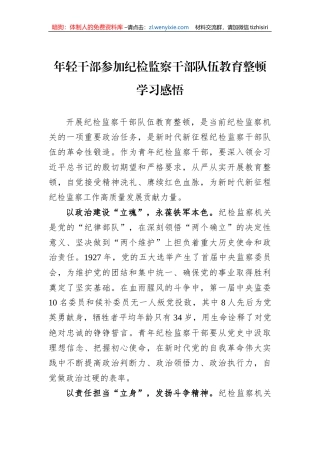 年轻干部参加纪检监察干部队伍教育整顿学习感悟