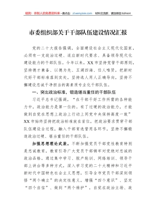 市委组织部关于干部队伍建设情况汇报