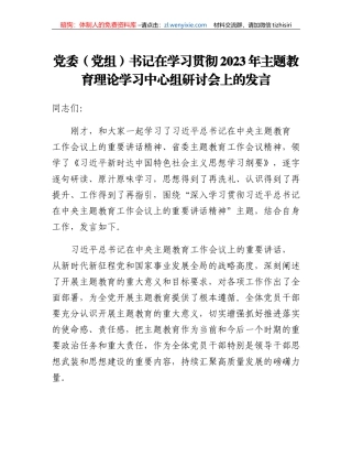 党委（党组）书记在学习贯彻2023年主题教育理论学习中心组研讨会上的发言