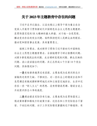 关于2023年主题教育中存在的问题