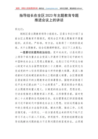 指导组长在全区2023年主题教育专题推进会议上的讲话