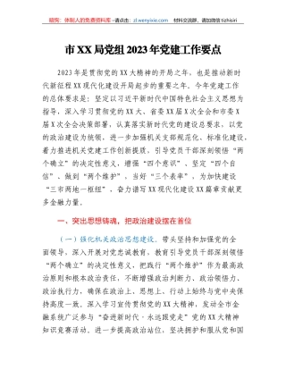 XX市金融工作局党组2023年党建工作要点