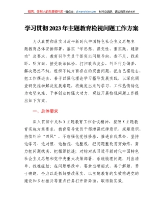 学习贯彻2023年主题教育检视问题工作方案