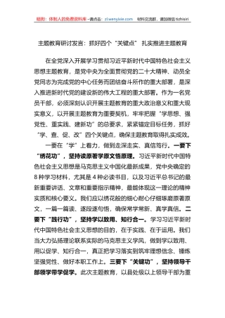 主题教育研讨发言：抓好四个“关键点”+扎实推进主题教育