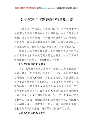 关于2023年主题教育中的意见建议 (1)