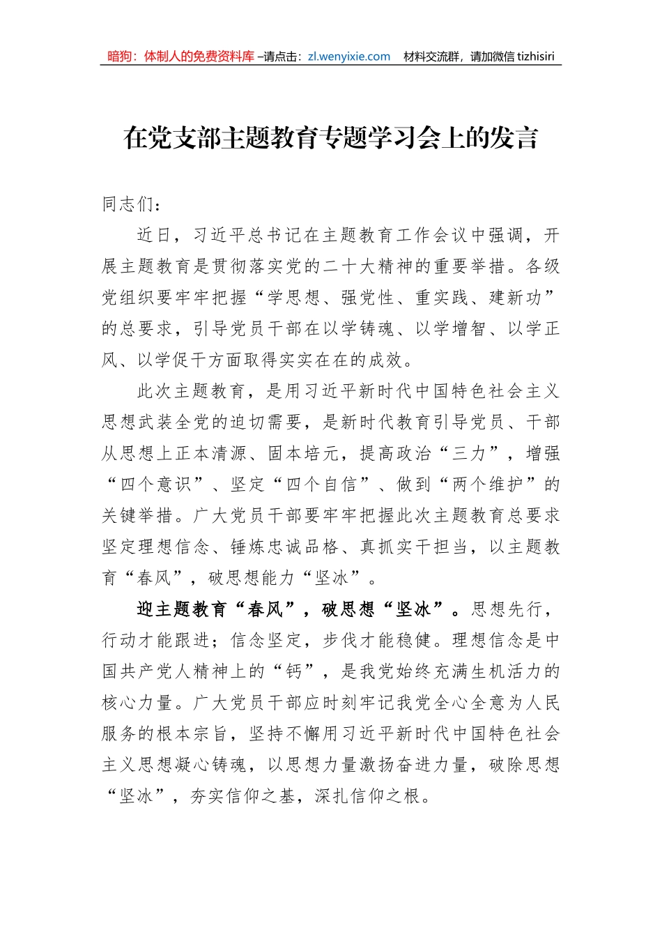 在党支部主题教育专题学习会上的发言_第1页