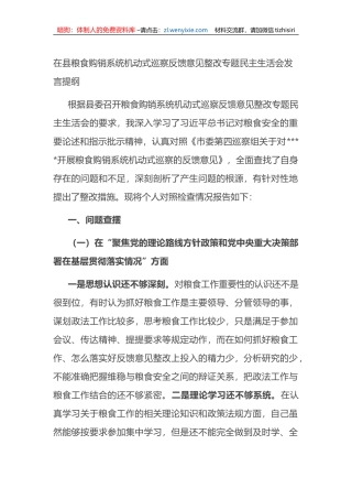 在县粮食购销系统机动式巡察反馈意见整改专题民主生活会发言提纲