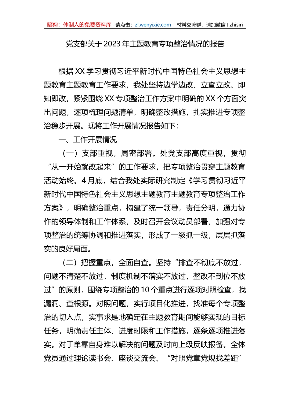 党支部关于2023年主题教育专项整治情况的报告_第1页