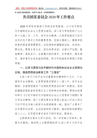 共青团XX委员会2020年工作要点