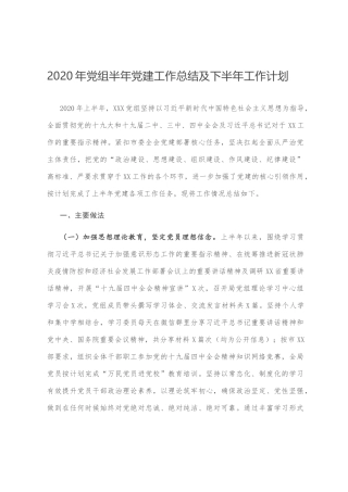 2020年党组半年党建工作总结及下半年工作计划