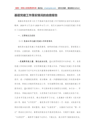 层党建工作落实情况的自查报告