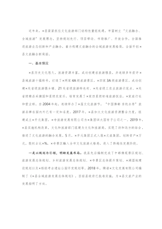 文化旅游局长工作汇报