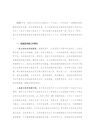 公司党总支书记抓基层党建工作述职报告