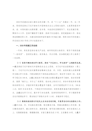 市直局党委2020年党建工作总结暨2021年工作计划