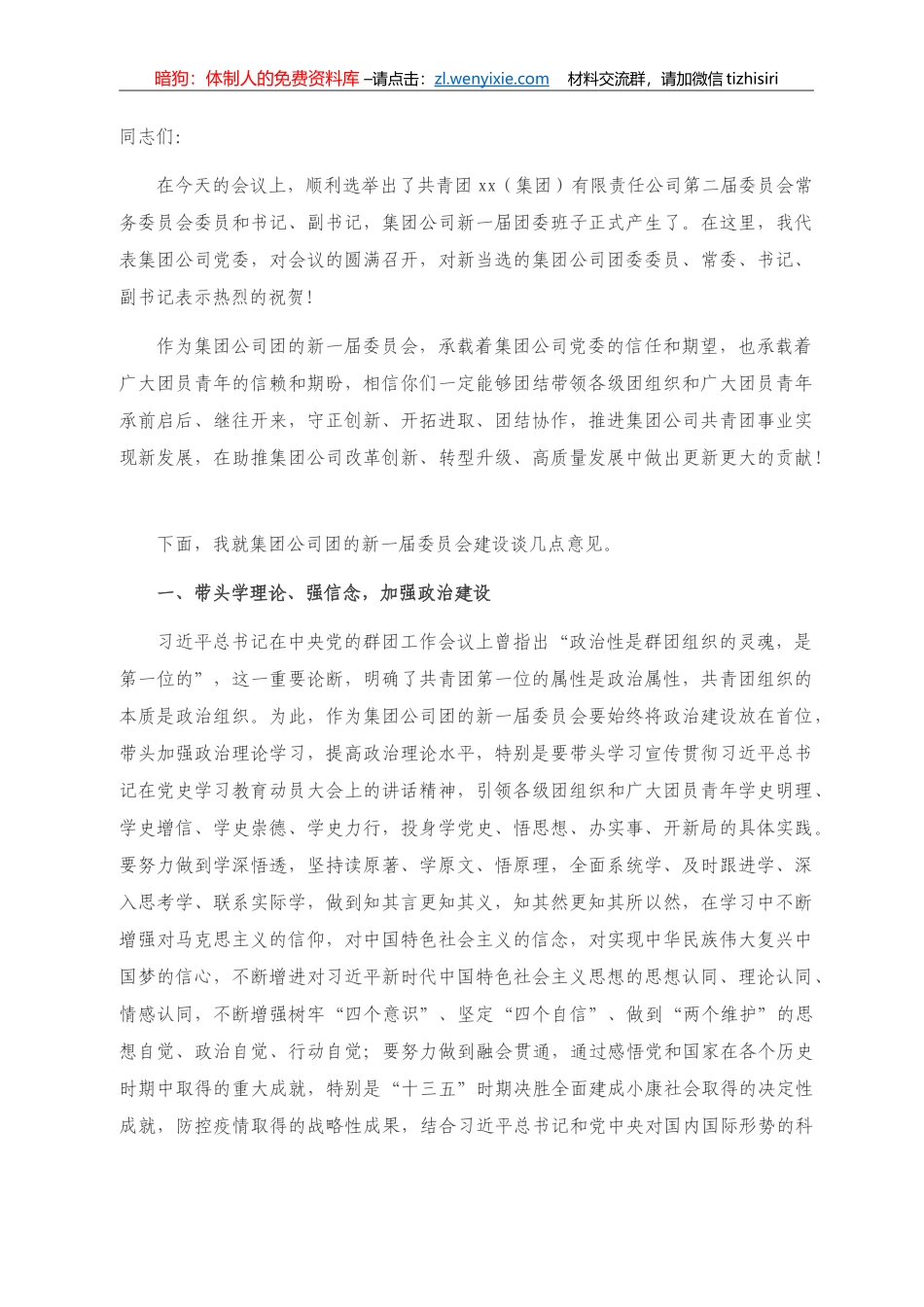 副总经理在共青团xx（集团）有限责任公司委员会全体会议上的讲话_第1页