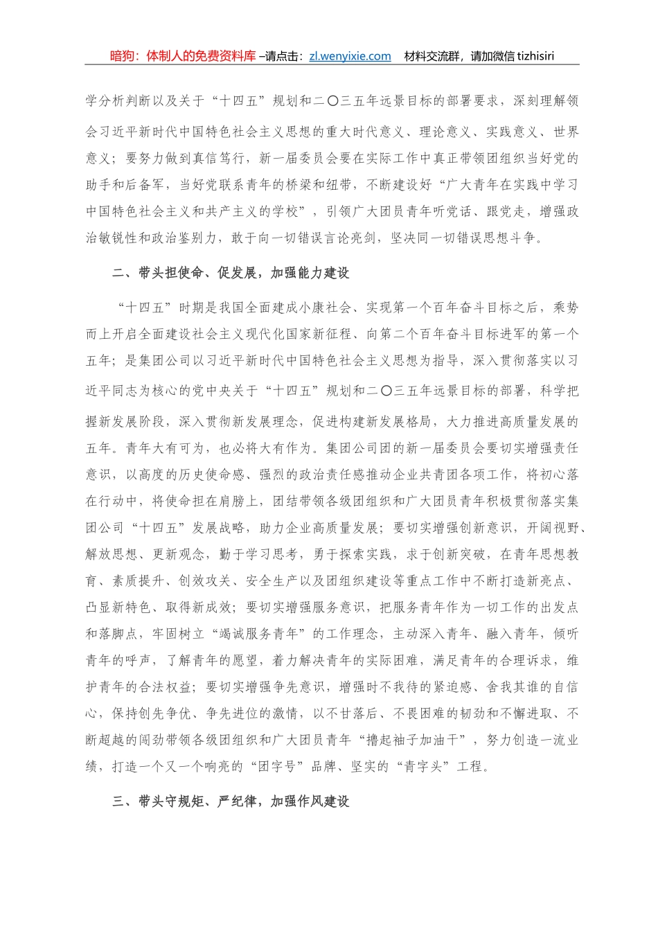 副总经理在共青团xx（集团）有限责任公司委员会全体会议上的讲话_第2页