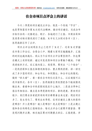 14301【在全市项目点评会上的讲话