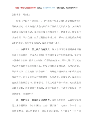 新当选机关党支部书记表态发言