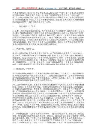 开展扫黄打非清理有害非法出版物工作总结（1700字优版）