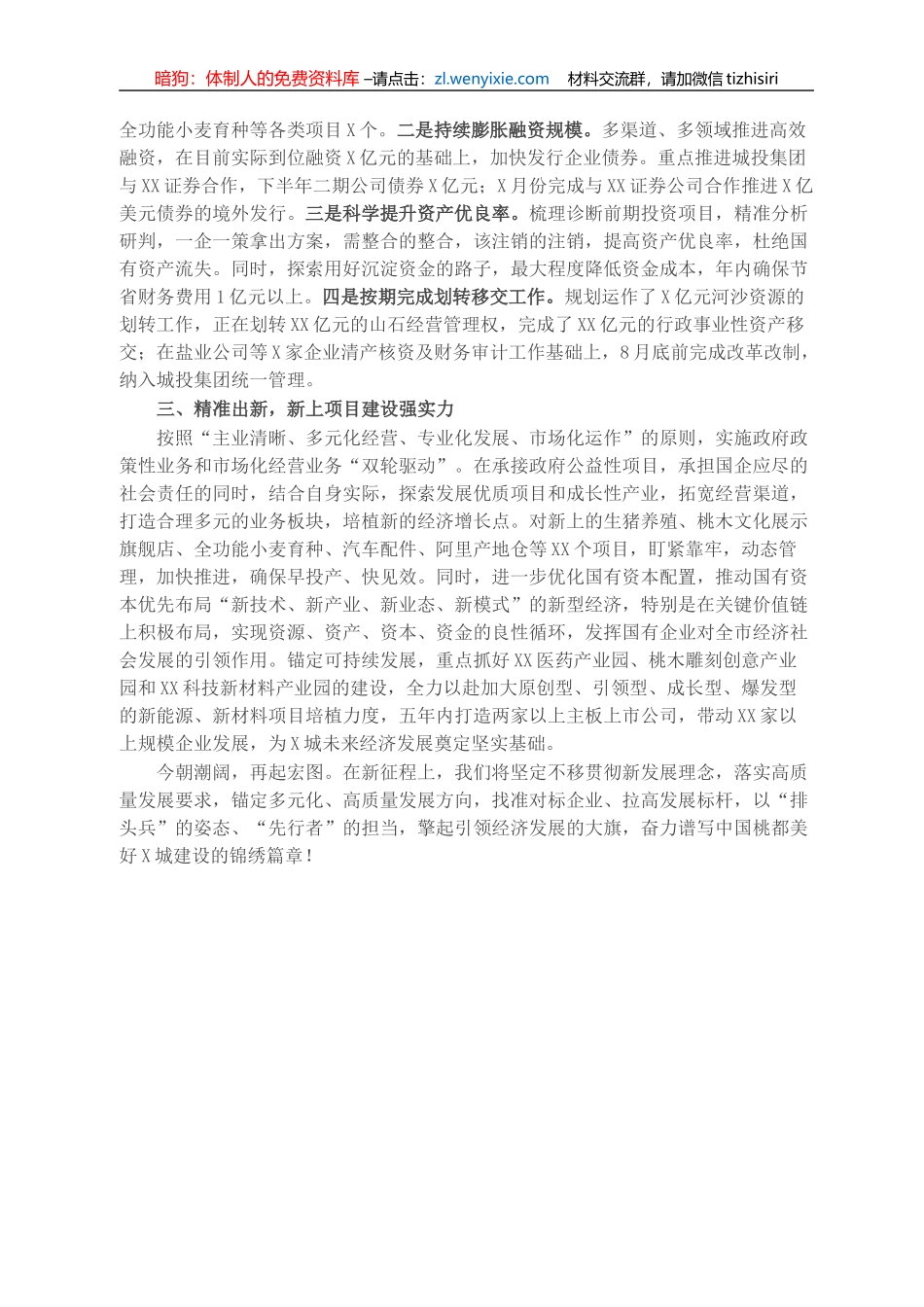 城投集团工作总结_第2页