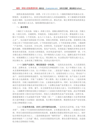 镇域经济发展情况的调研报告