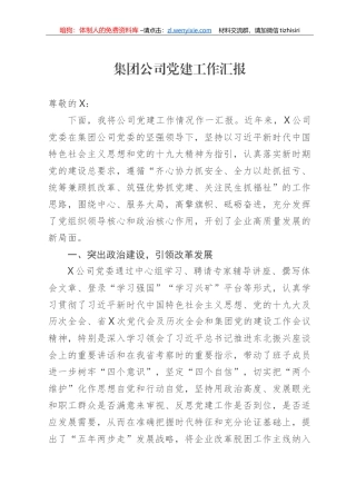 集团公司党建工作汇报
