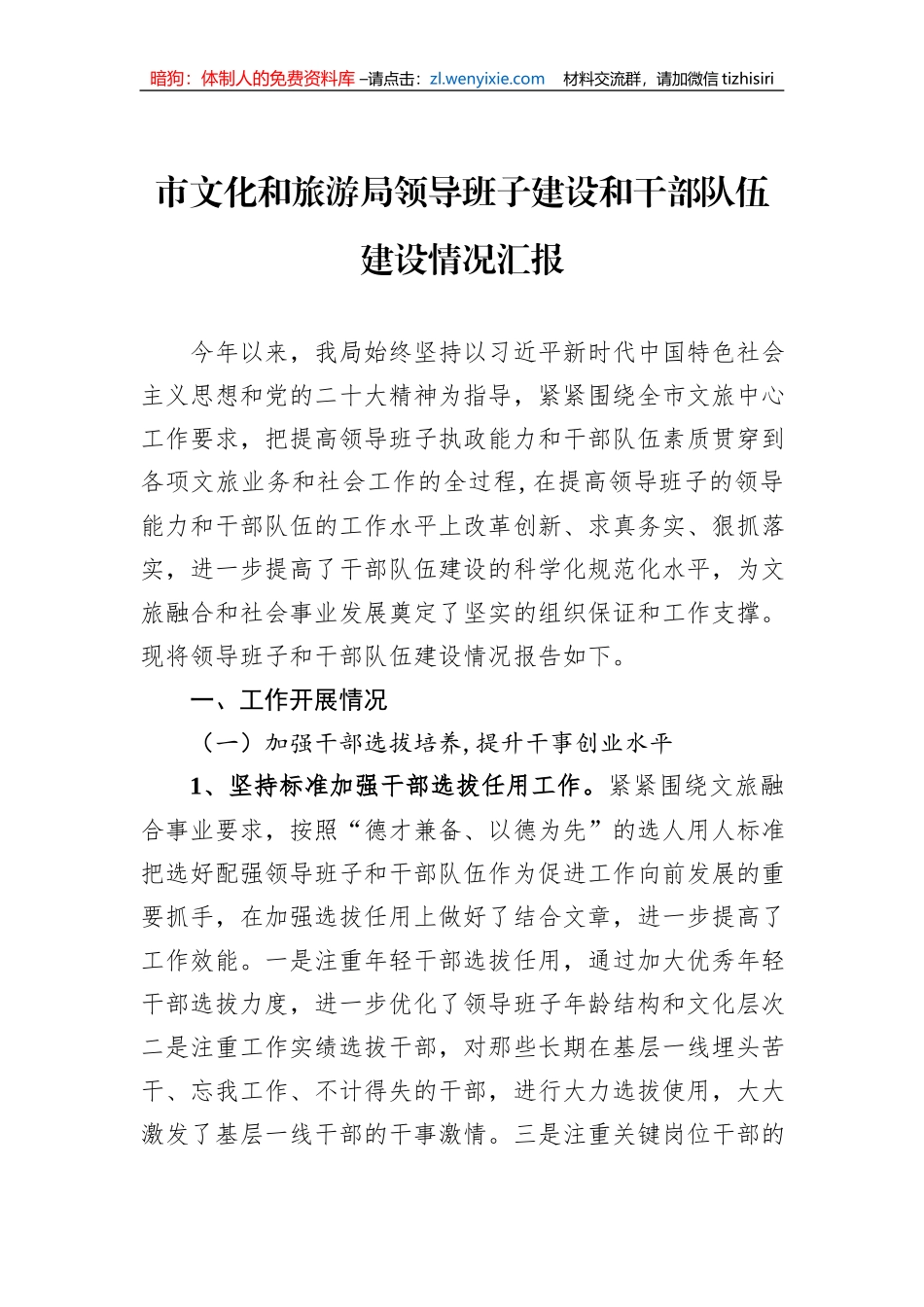 市文化和旅游局领导班子建设和干部队伍建设情况汇报_第1页