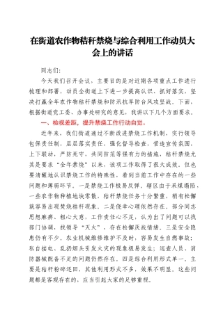 在街道农作物秸秆禁烧与综合利用工作动员大会上的讲话