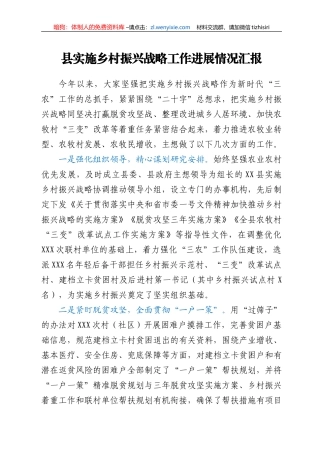 县实施乡村振兴战略工作进展情况汇报