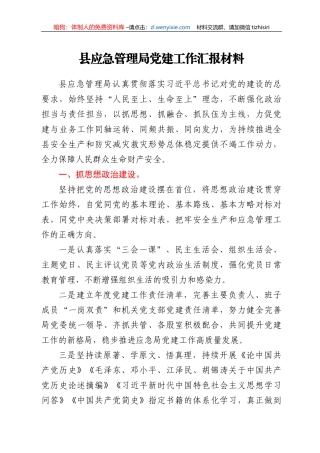 应急管理系统党建工作总结汇报
