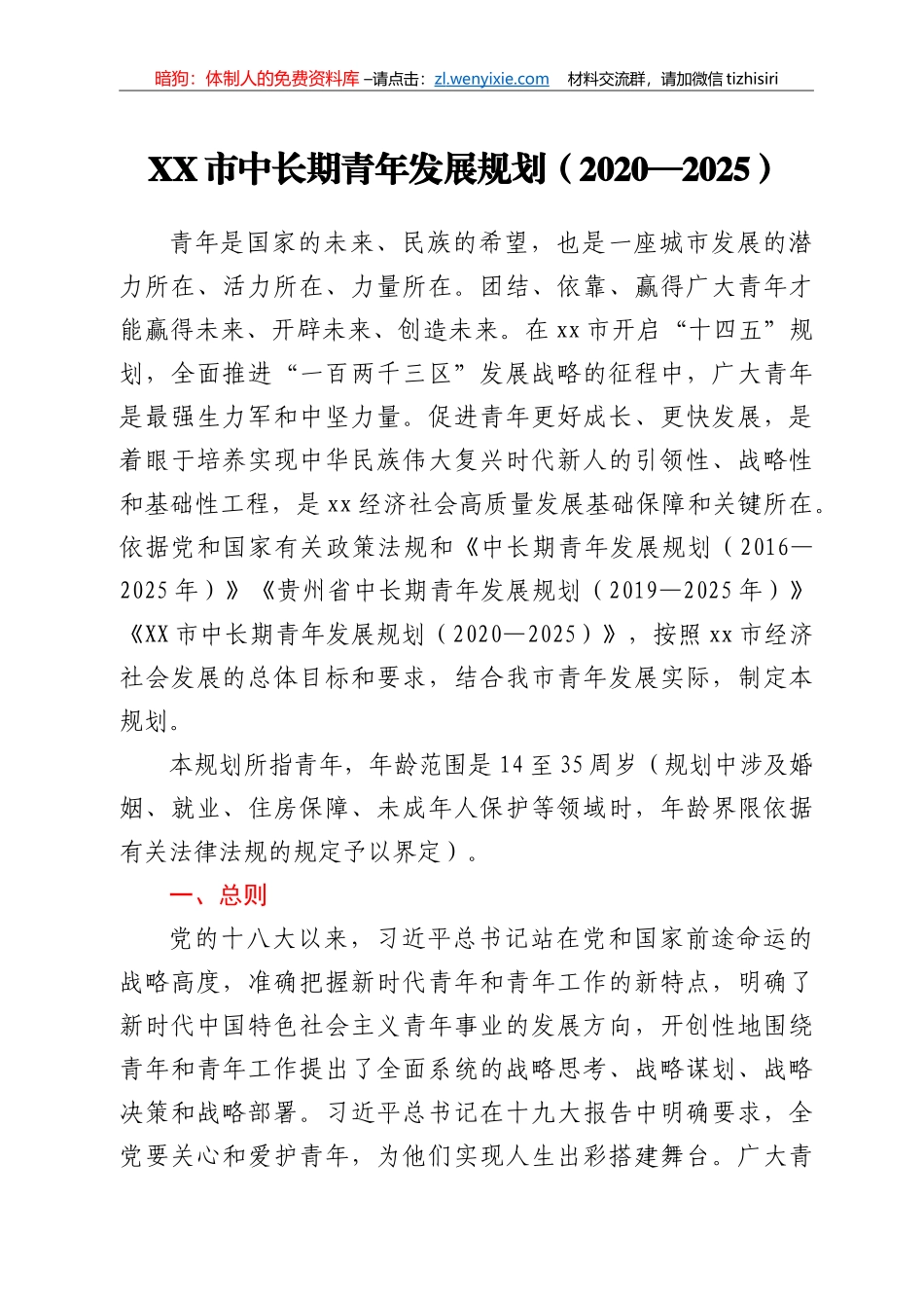 XX市中长期青年发展规划（2020—2025）_第1页
