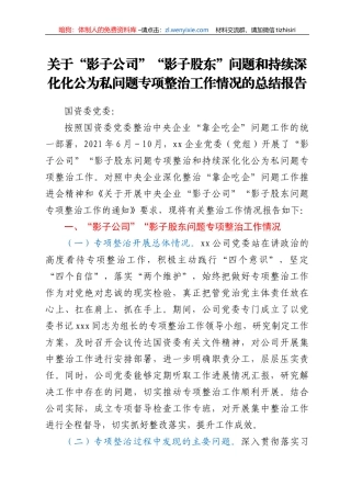 关于“影子公司”“影子股东”问题和持续深化化公为私问题专项整治工作情况的总结报告