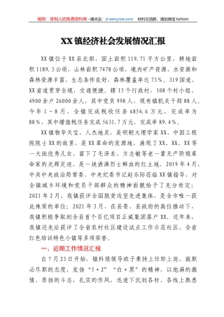 XX镇经济社会发展情况汇报