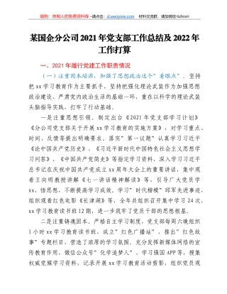 某国企分公司2021年党支部工作总结及2022年工作打算