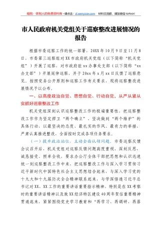 市人民政府机关党组关于巡察整改进展情况的报告