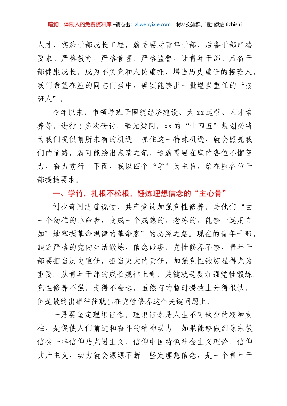 在全市新提拔青年干部集体谈话会上的讲话_第2页