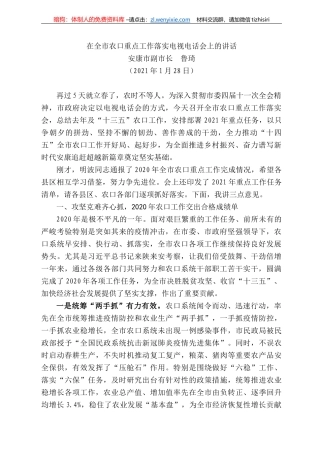 安康市副市长鲁琦：在全市农口重点工作落实电视电话会上的讲话