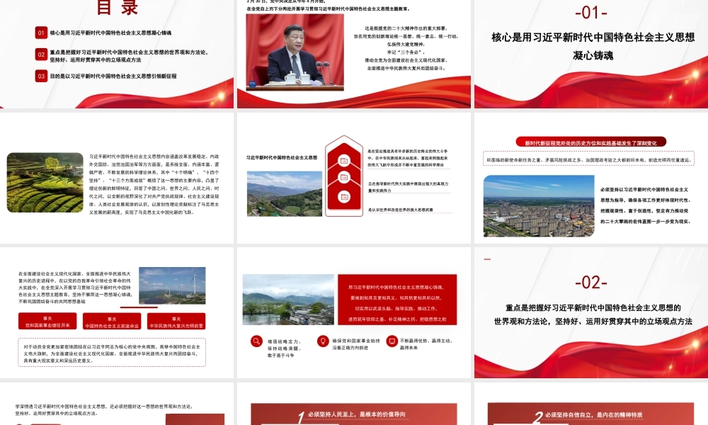 党内主题教育模板（ppt）