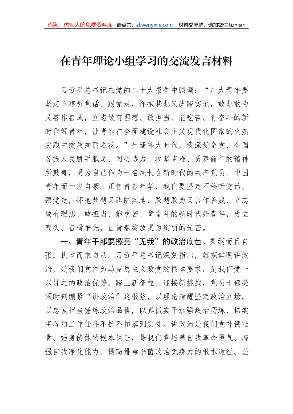 在青年理论小组学习的交流发言材料_第1页